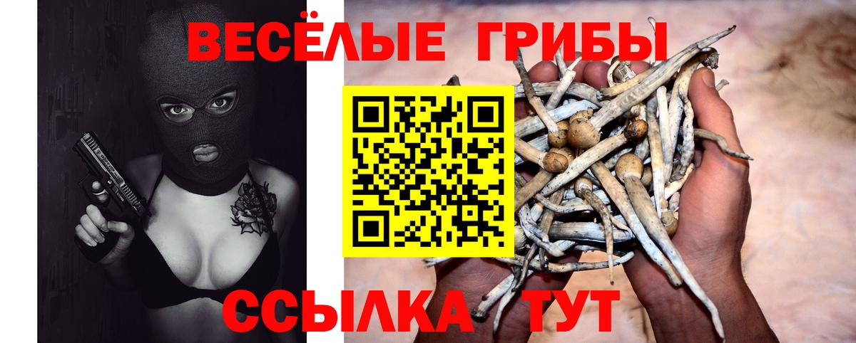 Галлюциногенные грибы Magic Shrooms Лесозаводск